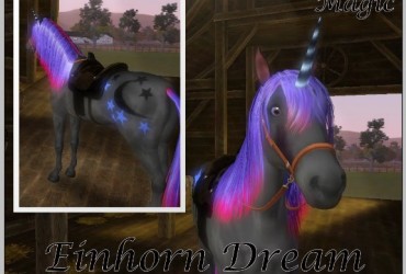 EinhornDream