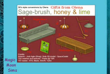 Olena's GiftSet 50s Style for Watersim