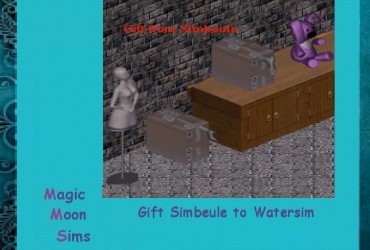 ws Gift Deco Objects SH
