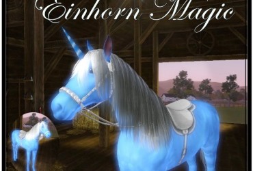 EinhornMagic