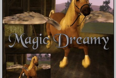 MagicDreamy