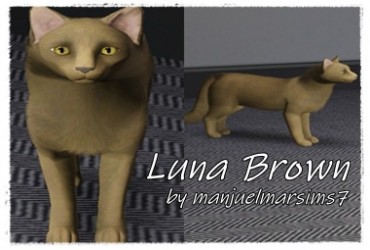 Luna Brown - mms7